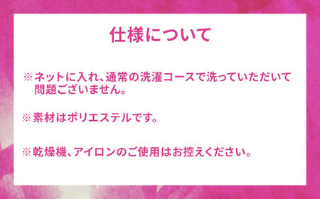 【ナンバー・ネームあり】SAGA BALLOONERS 公式オーセンティックユニフォーム（アウェイ） / バスケットボール プロ スポーツ 公式グッズ / 佐賀県 / 佐賀バルーナーズ[41AAAI0