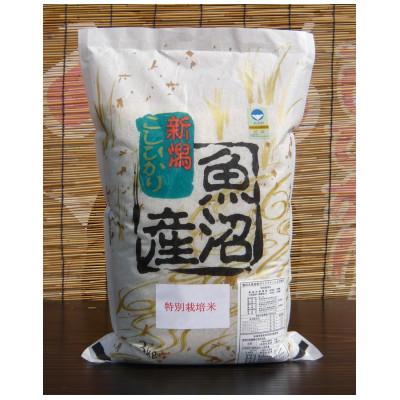 ふるさと納税 南魚沼市 【令和7年産新米】特別栽培米　がんこおやじが作った南魚沼産コシヒカリ　白米3kg×1袋 |  | 02