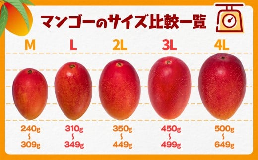  西都市産完熟マンゴー 2L×2玉 糖度12度以上【先行予約】＜1.3-6＞宮崎完熟マンゴー 果物 フルーツ 甘い