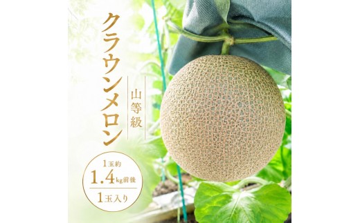 
クラウンメロン山等級1.4kg前後　1玉入り
