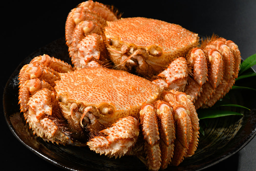 3特ボイル 毛ガニ 450g前後 2杯 | カニ 毛蟹 かに 海鮮 毛がに ボイル 北海道産 冷凍 毛カニ グルメ お取り寄せ 魚介類 海産物 茹で蟹 茹でガニ 北海道 濃厚 かに味噌 おかず 八雲町