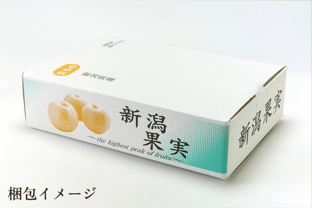 【2026年先行予約】【贈答用】和梨 幸水 3kg（7～10玉）《8月中旬から順次発送》 果物 なし 梨 フルーツ 新鮮 新潟のフルーツ産地 加茂市 まるさん金子果樹園 梨