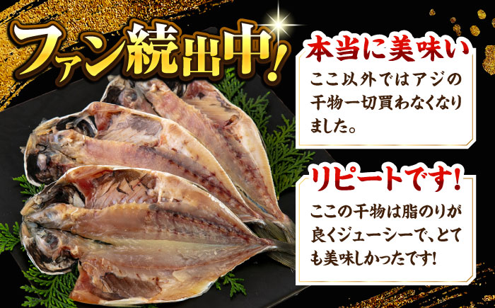 【訳あり】漁師町佐島 真アジの開き 1.4kg（20枚前後）セット 干物 横須賀 【石川水産】 [AKCX013]