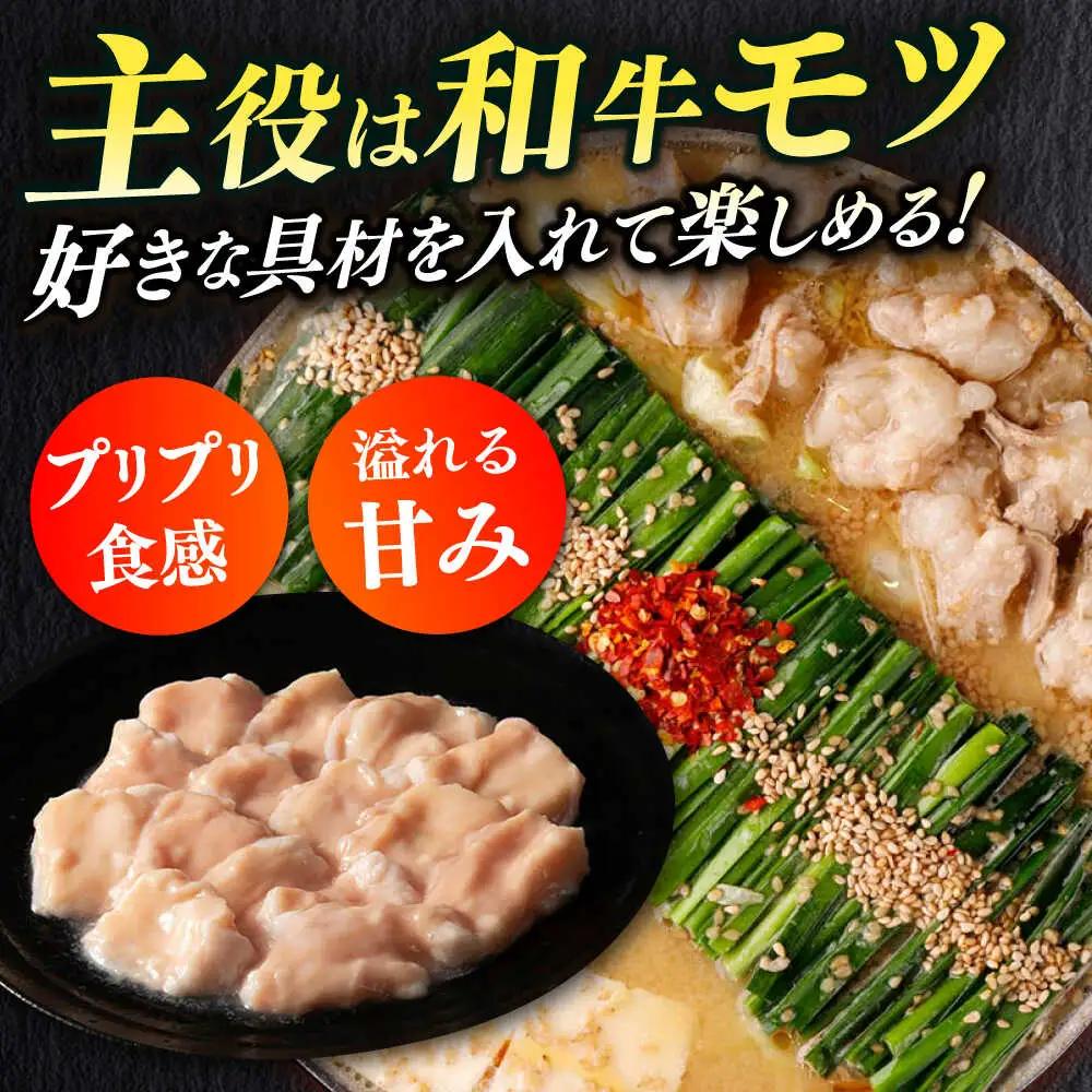 もつ鍋 醤油味 12人前 ちゃんぽん麺付 [ABCL171] もつ鍋