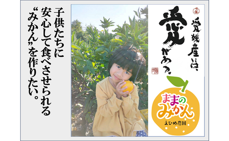 【数量限定　先行予約】訳ありせとかサイズ不揃い約3キロ家庭用 ２月下旬頃～順次発送〈産地直送　愛媛県　甘い　みかん　フルーツ〉