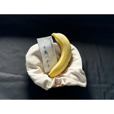 ふるさと納税 城陽市 超熟成法仕立て 千馬バナナ 1房 4〜5本入り |  | 02