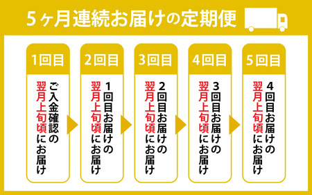 【5ヶ月 定期便】今庄 生そば 6食セット つゆ付 福井県　越前そば