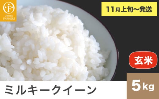 ミルキークイーン 玄米 約5kg ［ おぶせファーマーズ ］ お米 コメ おこめ ご飯 精米 長野県産 【2025年11月上旬～発送】 [FK-25]