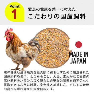 ふるさと納税 久留米市 コッコちゃん 成鶏用 さなぎ入 8.5kg(久留米市) |  | 01