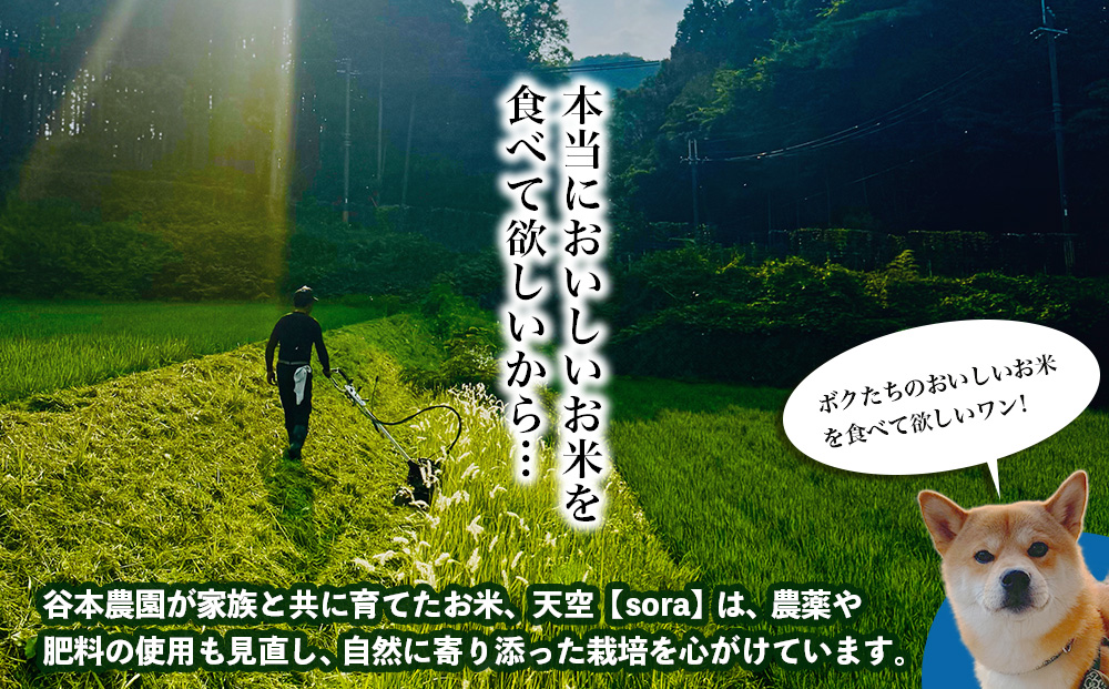 宇陀の自然が育てた 天空【sora】極 ひとめぼれ 5kg｜特別栽培米・奈良県宇陀産 白米