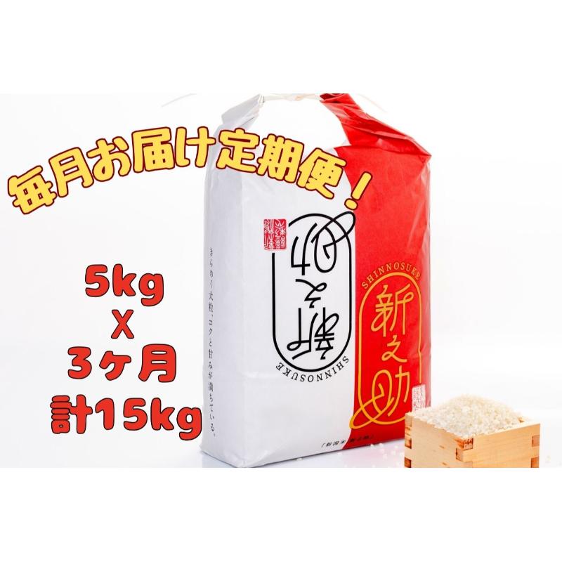 【ふるさと納税】【通年受付】魚沼産新之助　精米5kg　全3回 十日町市 十日町 米　お届け：2025年10月上旬以降、ご入金確認後順次配送予定。