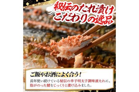 さば明太 16枚 秘伝の辛子明太子液たれ仕込み めんたいこ おつまみ 魚 海鮮 お土産＜離島配送不可＞【ksg0342】【マル五】