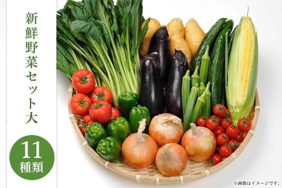 【ふるさと納税】新鮮野菜セット大（11種類）　【 野菜 セット 詰合せ 旬のお野菜 新鮮 安全 出荷農家により異なる味 お楽しみ 】