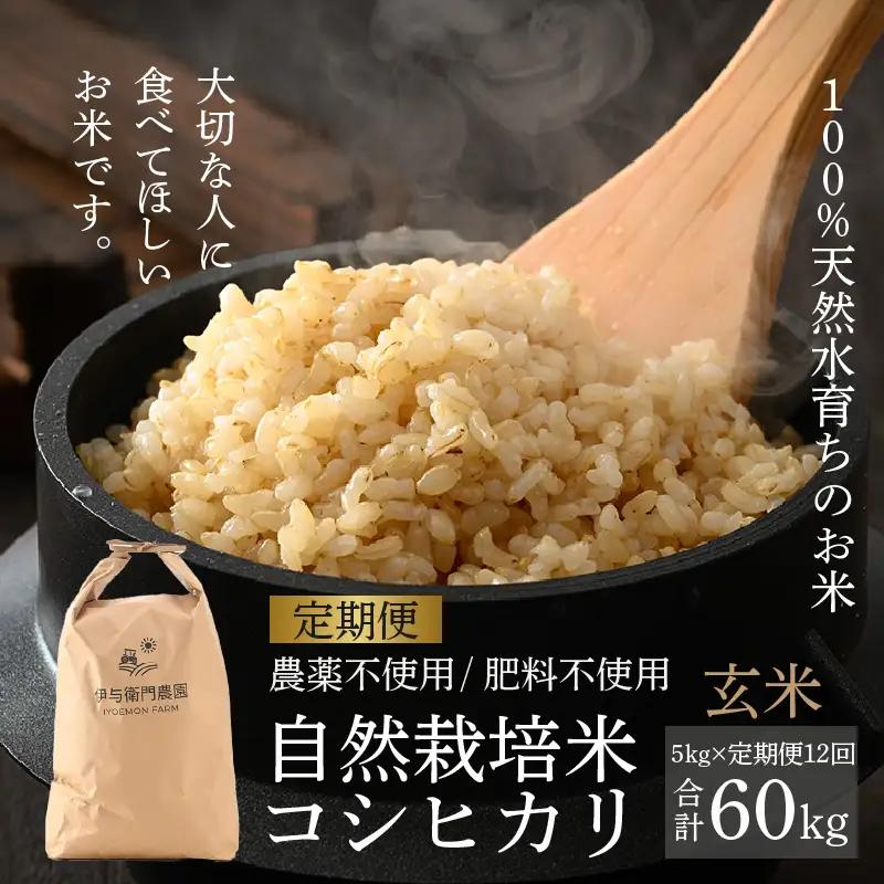 【先行予約】【令和8年産 新米】【定期便12回】伊与衛門農園の自然栽培コシヒカリ玄米 5kg×12回 伊与衛門農園の特別栽培米 ＜温度と湿度を常時管理し新鮮米を出荷！＞ / 米 自然の力 高品質 鮮度抜群 ブランド米 福井県 あわら市産 スマート農業 ※2026年10月下旬より順次発送予定 [aw071-o003]