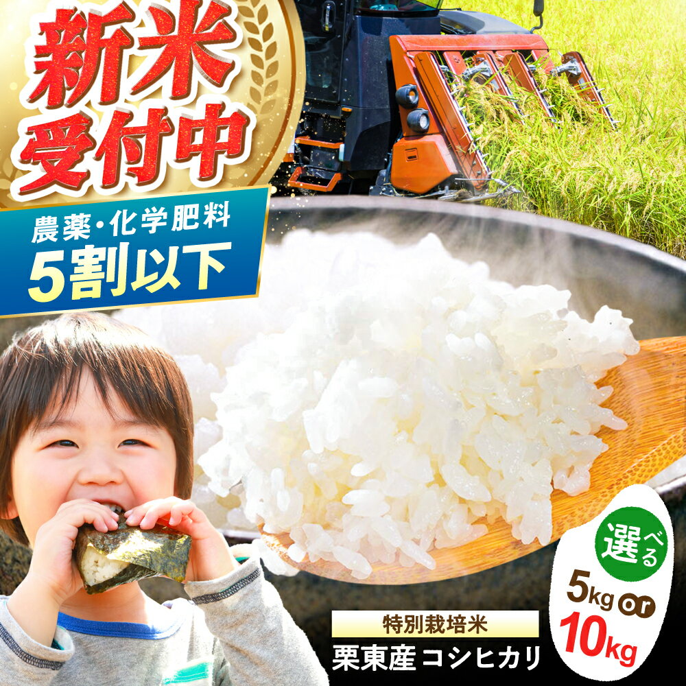 【ふるさと納税】【選べる容量】令和7年度産 栗東産 特別栽培米 コシヒカリ / ご飯 ごはん ゴハン お米 米 令和7年産 / 栗東市 / レーク滋賀農業協同組合[BIBV004]