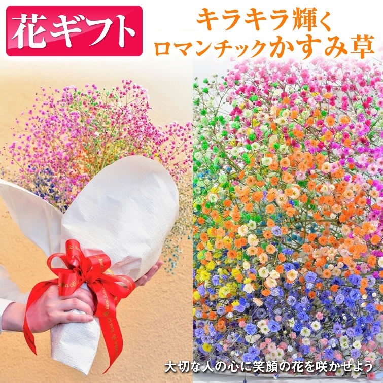 
                  ふわふわブーケ ｜ 生花 花 ギフト ロマンチックかすみ草 七色 輝く カスミソウ カスミ草 かすみそう お祝い プレゼント カラフル 花束 おしゃれ
                