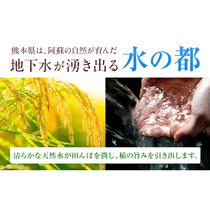 無洗米 訳あり 家庭用 熊本ふるさと無洗米 選べる内容量 無洗米 米 コメ 熊本県産《7-14営業日以内に出荷予定(土日祝除く)》 洗わずお米 おこめ 送料無料 熊本 御船_イメージ3