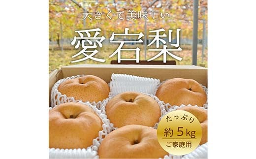 
            岡山県産 愛宕梨（あたごなし）ご家庭用 約5kg 梨 和梨  赤梨 あたご梨 ジャンボ明日香梨 デザート フルーツ 果物 くだもの 果実 食品 TY0-0910
          