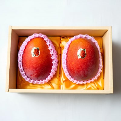 【2026年発送・糖度15度以上保証】頑固おやじのこだわりマンゴー匠 大玉1kg(2玉)【配送不可地域:離島】