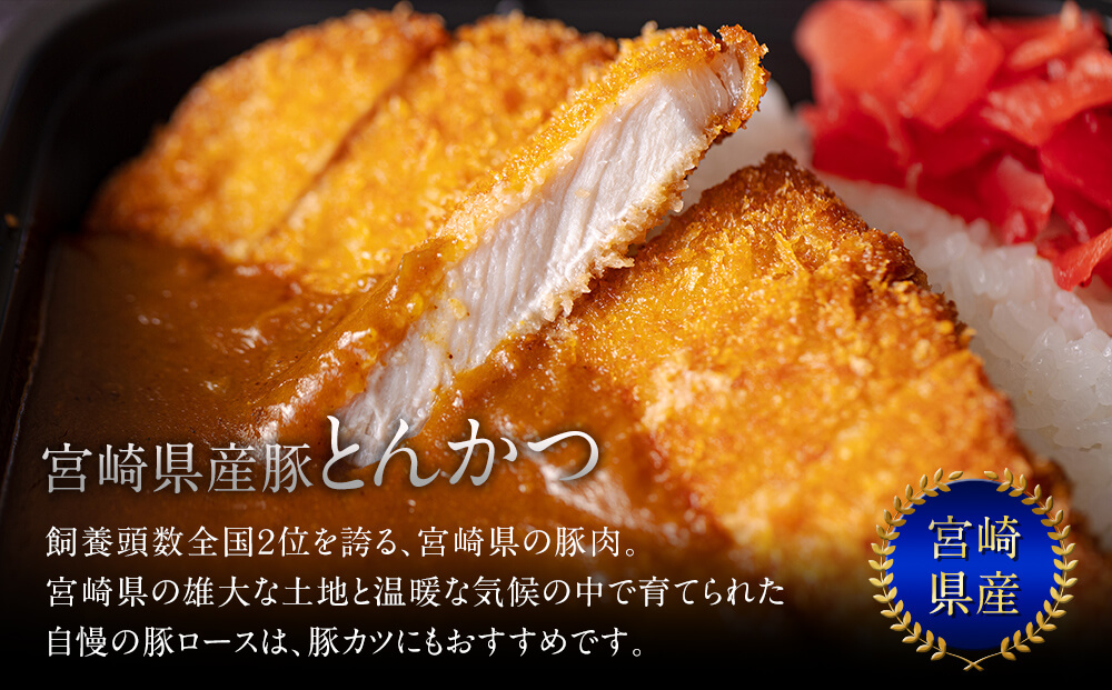 豚肉 小分け 切り落とし ロース 豚バラ スライス お料理セット 計5.4kg [甲斐精肉店 宮崎県 美郷町 31as0096] 肉 冷凍 宮崎県産 豚 ウデ 腕 切落し 詰め合わせ 真空包装 うす切り 薄切り