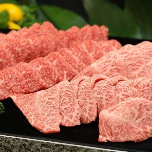 【3回定期便】牛肉 京丹波姫牛 グルメ三昧 計2kg 牛肉
