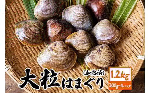 茨城県産 大粒はまぐり 加熱済 300g×4パック 国産 はまぐり ハマグリ 鹿島灘産 砂抜き不要 調理簡単 酒蒸し お吸い物 つくだ煮 貝専門店の厳選品 贈答用 ギフト 常温 茨城県 潮来市 (A14-002)