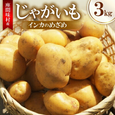 【ふるさと納税】【2026年3月から順次発送】じゃがいも(インカのめざめ)3kg【1626898】