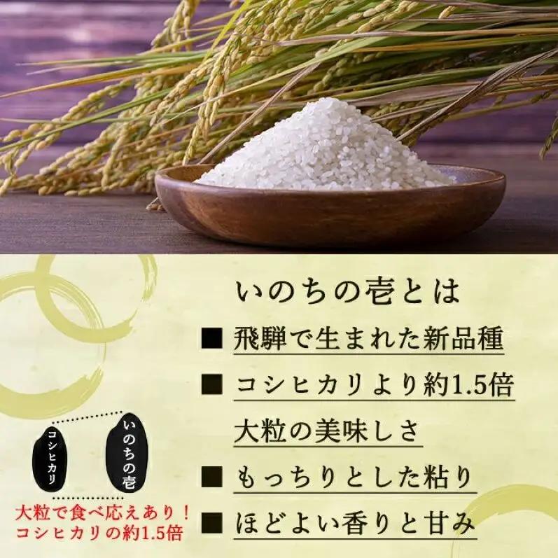 ベストファーマーズ賞受賞 いのちの壱 白米 5kg 無農薬 令和7年産 米 お米 小分け  産地直送 長野