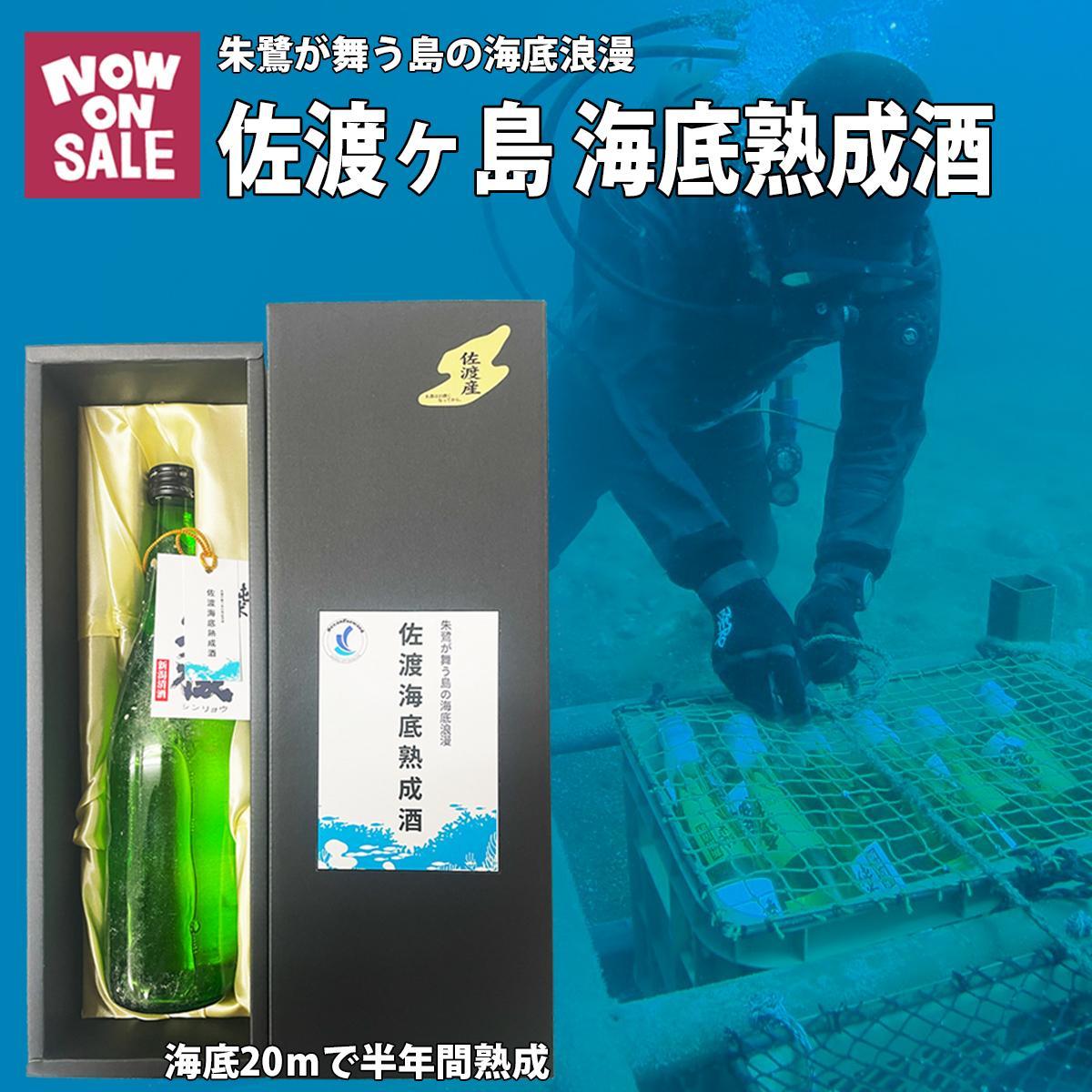 【ふるさと納税】酒 日本酒 純米吟醸酒　佐渡 海底熟成酒 「真稜」720ml×1本 | お酒 さけ 人気 おすすめ 送料無料 ギフト