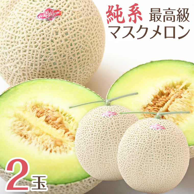 E-1402 【通年栽培】純系マスクメロン２玉（化粧箱入）【２月発送分】