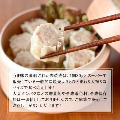 ふるさと納税 南九州市 鹿児島黒豚入れすぎ!肉焼売45個 |  | 02