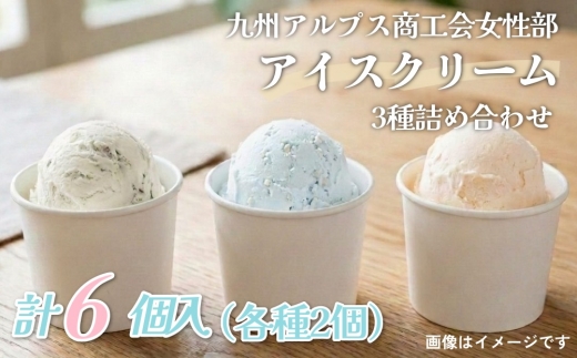 
                  九州アルプス商工会女性部アイスクリーム 計6個入（各種2個入） 久住ミントバニラ
                