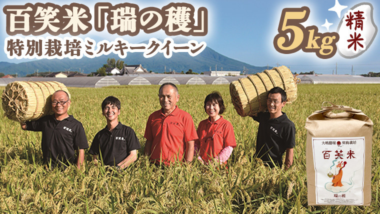 
            精米 百笑米 「 瑞の穫 」 特別栽培 ミルキークイーン 5kg R7年産 米 コメ 茨城県 単一米 [AC001ci]
          