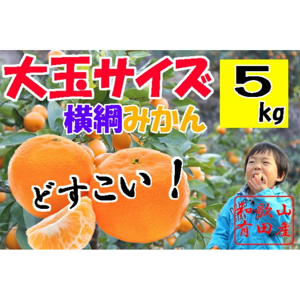 【ふるさと納税】【選べる重量】大玉有田みかん 5～10kg 2L・3Lサイズ | みかん 蜜柑 フルーツ 果物 くだもの 食品 人気 おすすめ 送料無料