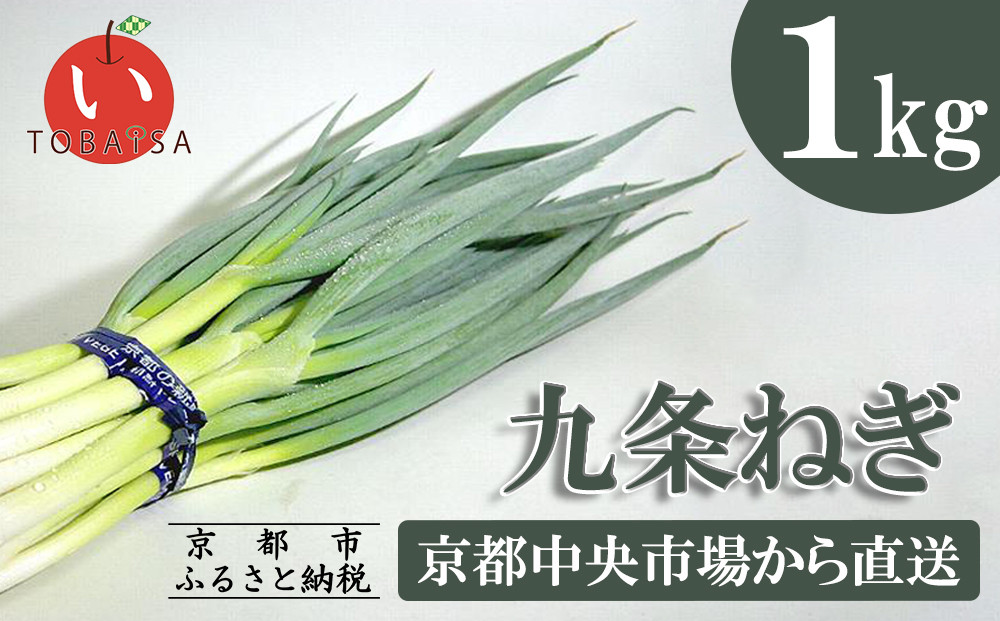 《9月末までの限定寄付額》【鳥羽伊三】九条ねぎ(1kg・25本程度)［ 京都  野菜 人気 おすすめ グルメ 京野菜 料理 お取り寄せ 通販 送料無料 ふるさと納税 ］ 261009_B-QL08