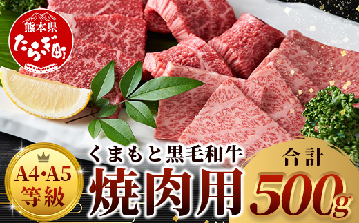 【 A4～ A5 等級 】くまもと黒毛和牛 焼肉用 500ｇ【 ブランド 牛肉 肉 やき肉 焼き肉 バラ ロース モモ 和牛 国産 熊本県 上級 上質 】106-0501