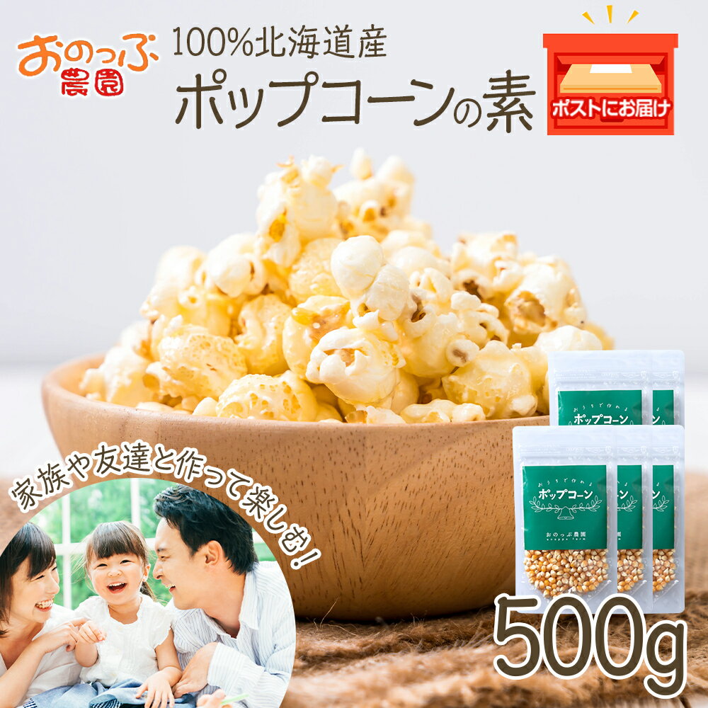【ふるさと納税】おうちで作れる ポップコーン100g×5パック 《おのっぷ農園》 ふるさと納税 北海道