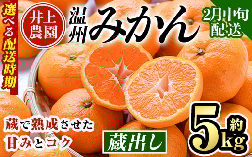 ＜2月中旬より順次発送予定＞大分県宇佐市産 蔵出し みかん(約5kg)ミカン 蜜柑 柑橘 フルーツ 果物 くだもの 果実 国産 熟成【103640400】【井上農園】