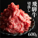 【ふるさと納税】《期間限定》【訳あり】飛騨牛 切り落とし 600g 小間切れ こまぎれ 切落し 訳アリ わけあり ワケアリ 不揃い 牛 肉 牛肉 国産牛 黒毛和牛 牛丼 焼肉 冷蔵 2024年 時間指定［Q2072x］15000円 1万5千円