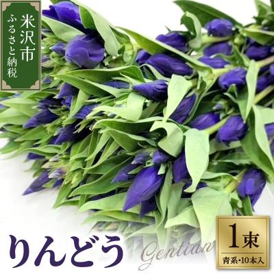 ふるさと納税 米沢市 【先行受付】 りんどう 青系 1束 10本入り 切花 2026年8月上旬〜9月中旬お届け予定