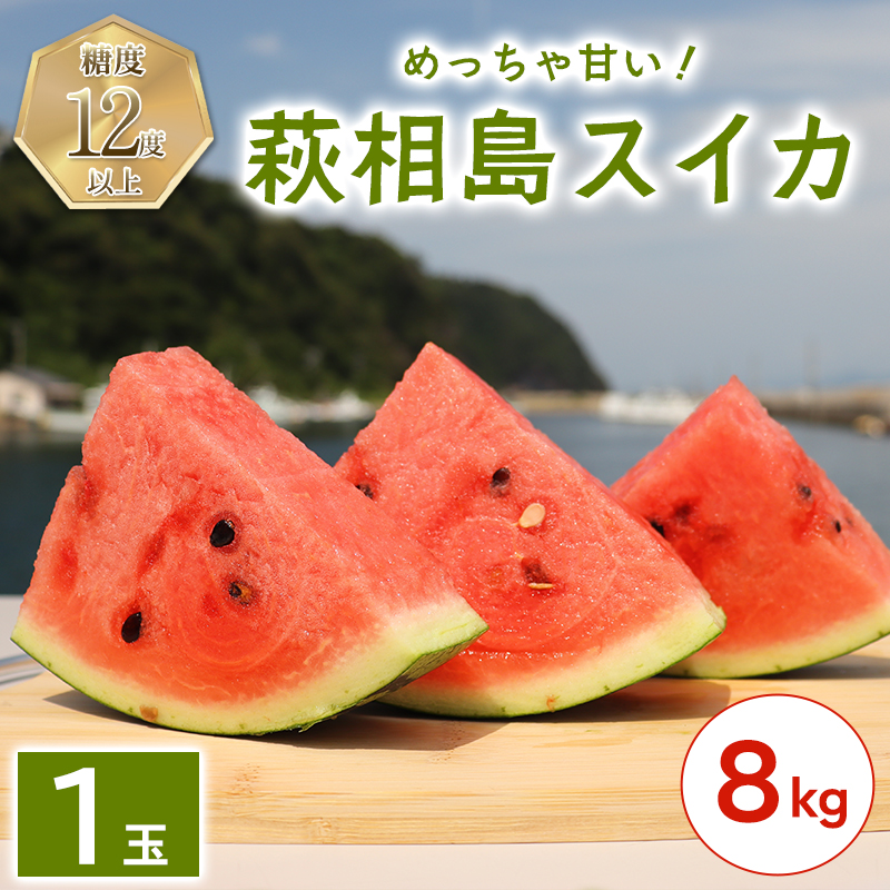 スイカ 約8kg 萩・夏の銘品 相島 西瓜 秀品 大玉すいか フルーツ 果物 果物類 贈答品 ギフト