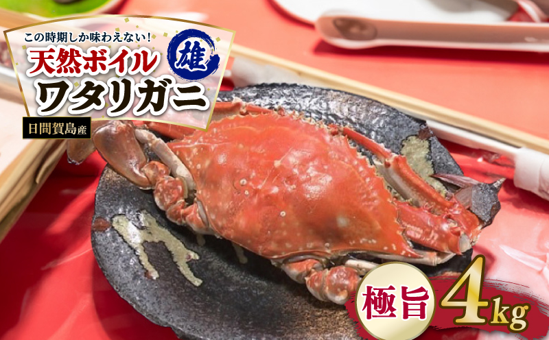 日間賀島産 ワタリガニ 4kg 雄 カニ わたりがに 渡り蟹 伊勢湾 日間賀島 新鮮 鮮度抜群 ふるさと納税カニ 美味しいカニ 美味いカニ 魚介類 魚 海鮮 夕食 ごはん 鮮度抜群 冷蔵 新鮮 惣菜 晩ごはん お米に合う