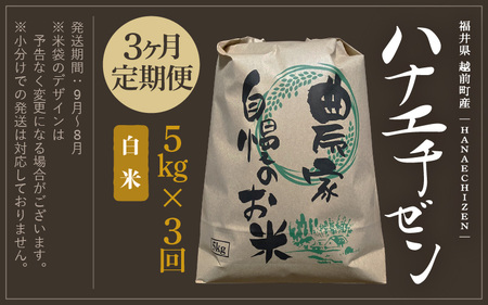 【新米・先行予約】定期便 ≪3ヶ月連続お届け≫旨いご飯！お米 ハナエチゼン 5kg × 3回 計15kg 「白米」 令和6年 福井県産【米 はなえちぜん 華越前 人気品種 ブランド米 5キロ 精米 白