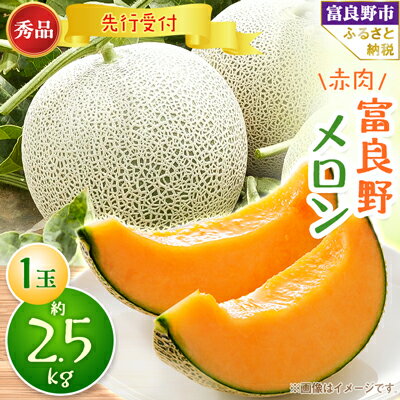 【ふるさと納税】【発送月固定定期便】富良野メロン 秀品 赤肉約2.5kg×1玉 全2回【4009268】