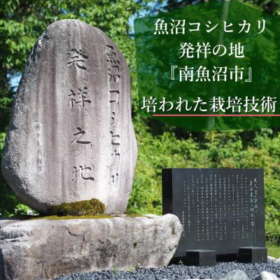 ふるさと納税 南魚沼市 【令和6年産】美味しさ長持ち便利な小袋タイプ「南魚沼産こしひかり300g×30袋入」(精米) |  | 02