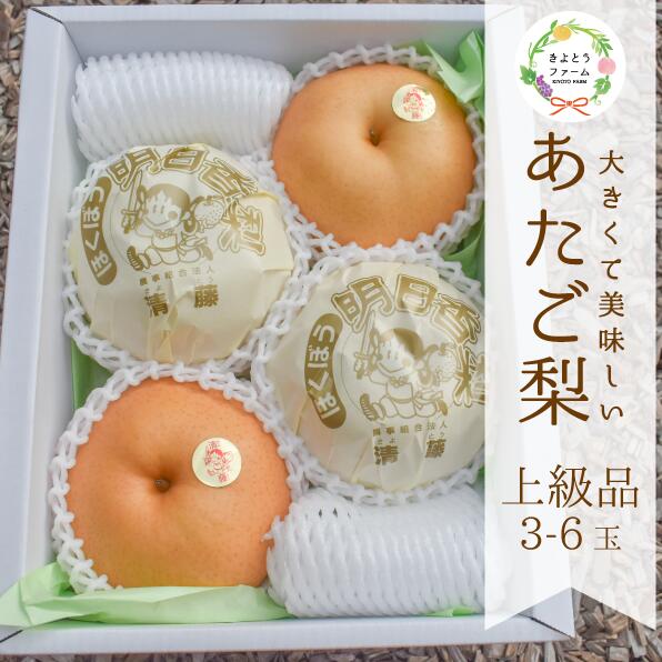 【ふるさと納税】 【きよとうファーム】あたご梨 上級品 3-6玉入(岡山県産)【2026年11月以降より順次発送予定】【KF-C007-02】/ 梨 上級品 岡山県産 果物 くだもの フルーツ 御歳暮 贈り物