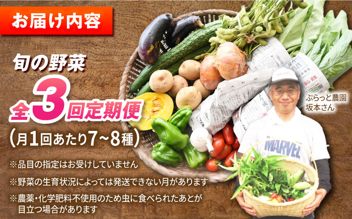 【全3回定期便】有機農法・旬の野菜詰め合わせ 野菜セット 五島市/ぷらっと農園 [PDS007]