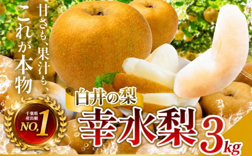 幸水3kg 贈答用