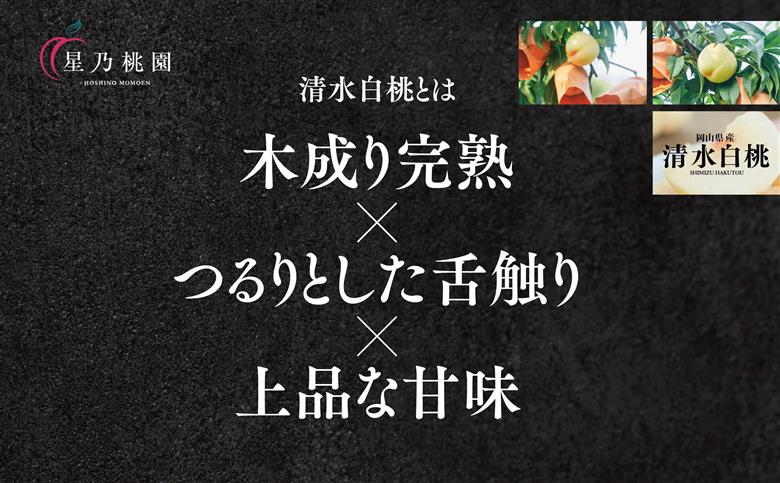 【清水白桃】岡山県産 三つ星 星乃桃園 1.2kg (4～5玉)【配送不可地域：離島・北海道・沖縄県】