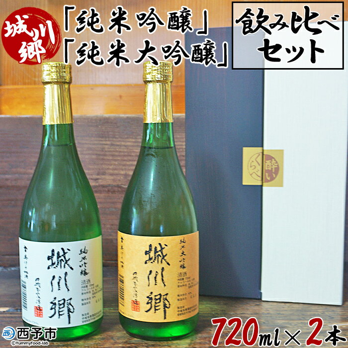 【ふるさと納税】日本酒 ＜城川郷「純米吟醸」「純米大吟醸」飲み比べセット 720ml×2本＞ お酒 さけ ギフト 贈り物 贈答用 お祝い 御祝い 内祝い 家飲み 宅飲み お酒セット 乾杯 特産品 中城本家酒造 愛媛県 西予市 【常温】『1か月以内に順次出荷予定』